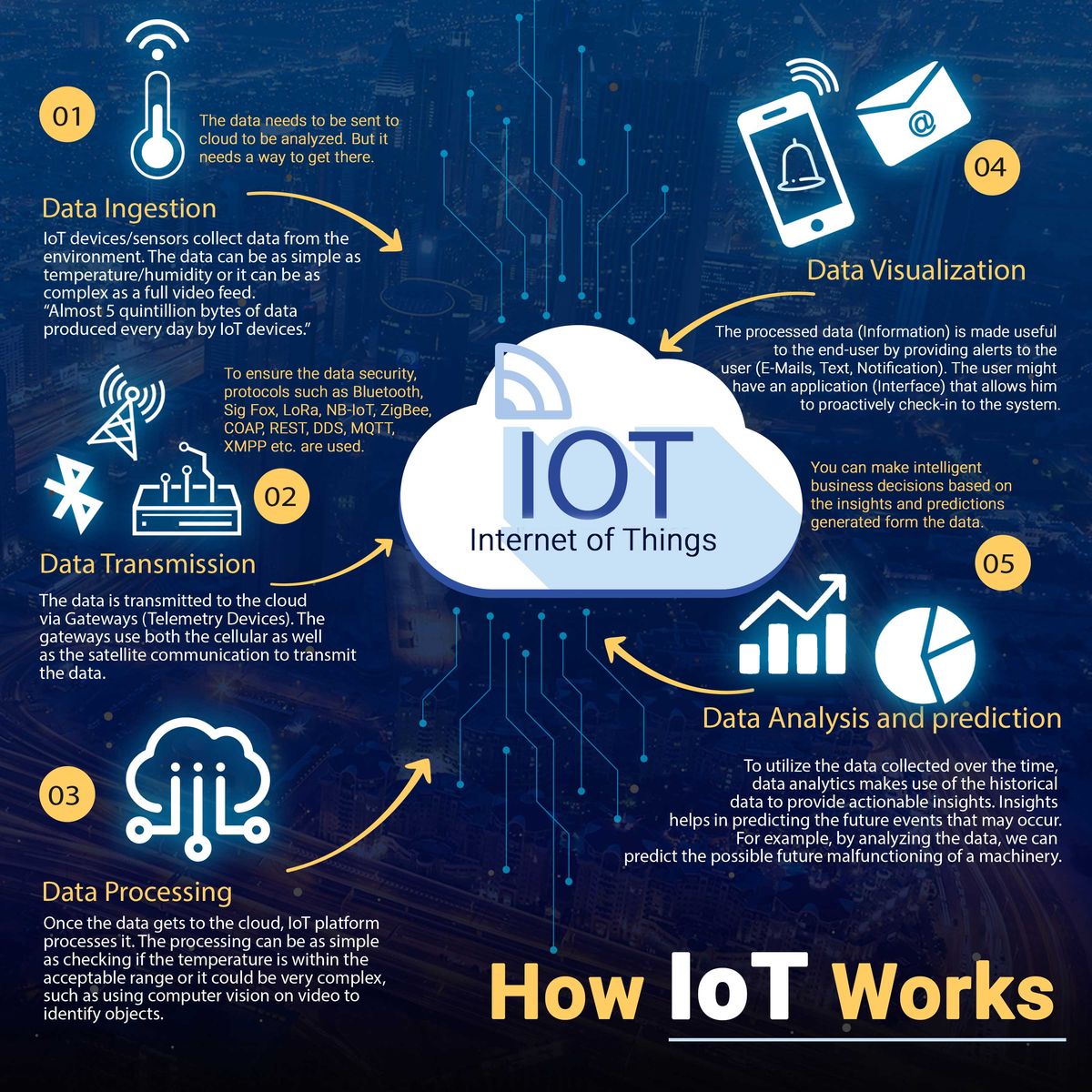 IoT (Internet of Things) Solutions